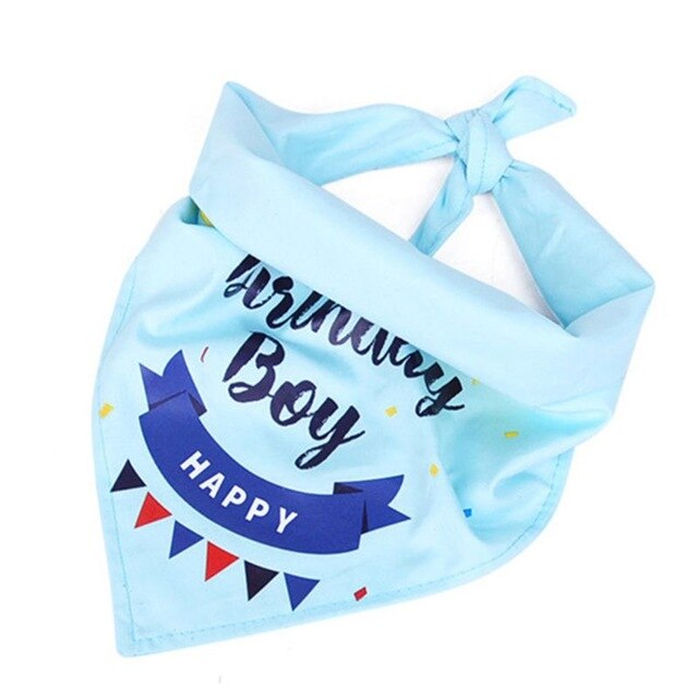 Birthday Party Supplies